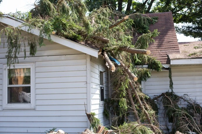 Tree fallen on house